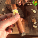Bolivar Royal Corona Cigar Close-up - Premium Quality
