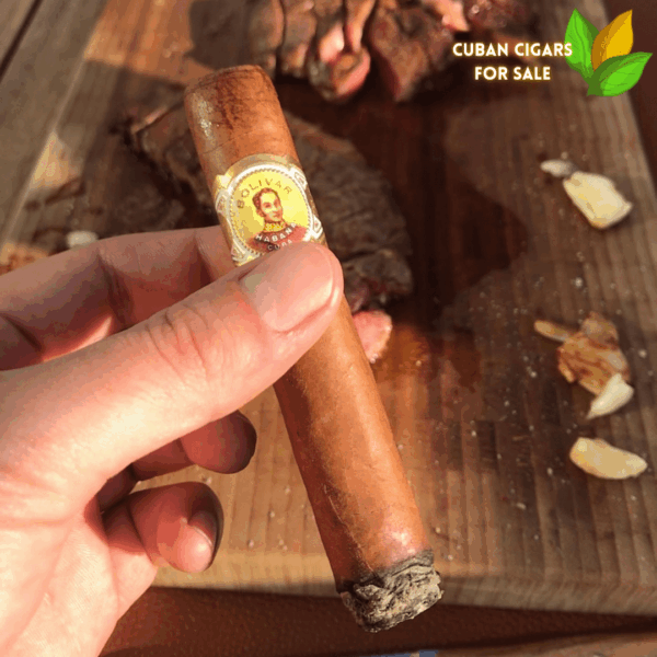 Bolivar Royal Corona Cigar Close-up - Premium Quality