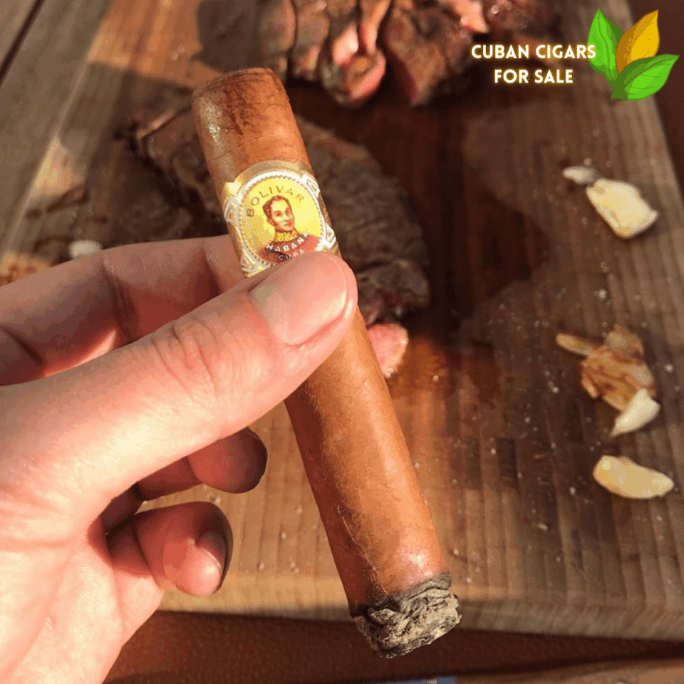 Bolivar Royal Corona Cigar Close-up - Premium Quality
