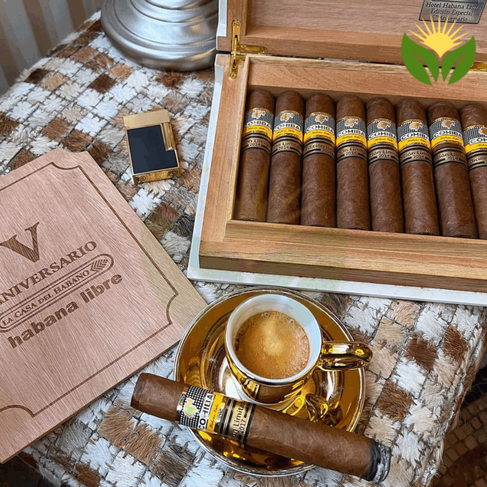Cohiba Robustos Supremos Cigar Close-up - Premium Quality