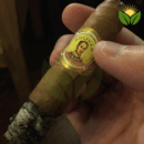 Bolivar Belicosos