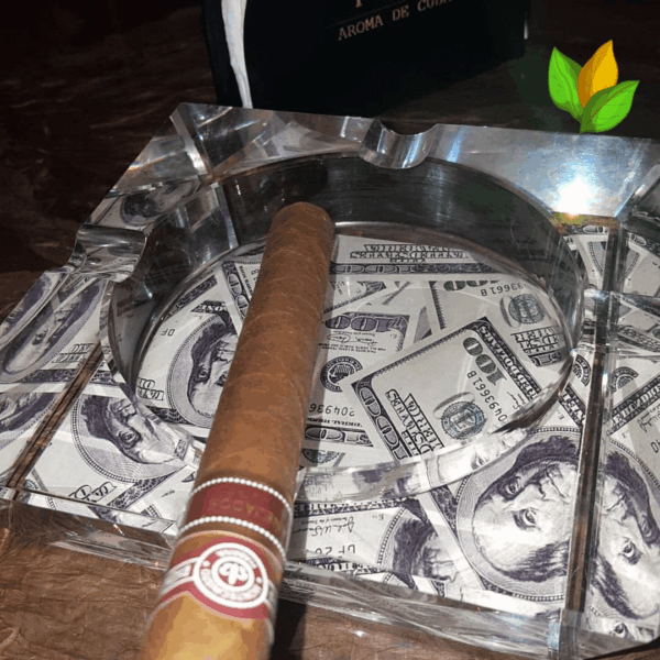 Montecristo Churchill Añejados Cigar Close-up - Premium Quality
