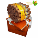 Cohiba Medio Siglo Box View - Authentic Habanos
