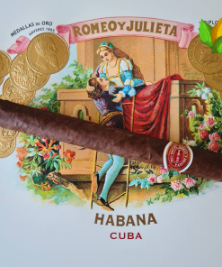 Romeo y Julieta Capuletos EL 2016 - Romeo y Julieta Capuletos EL 2016