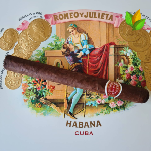 Romeo y Julieta Capuletos EL 2016 - Romeo y Julieta Capuletos EL 2016