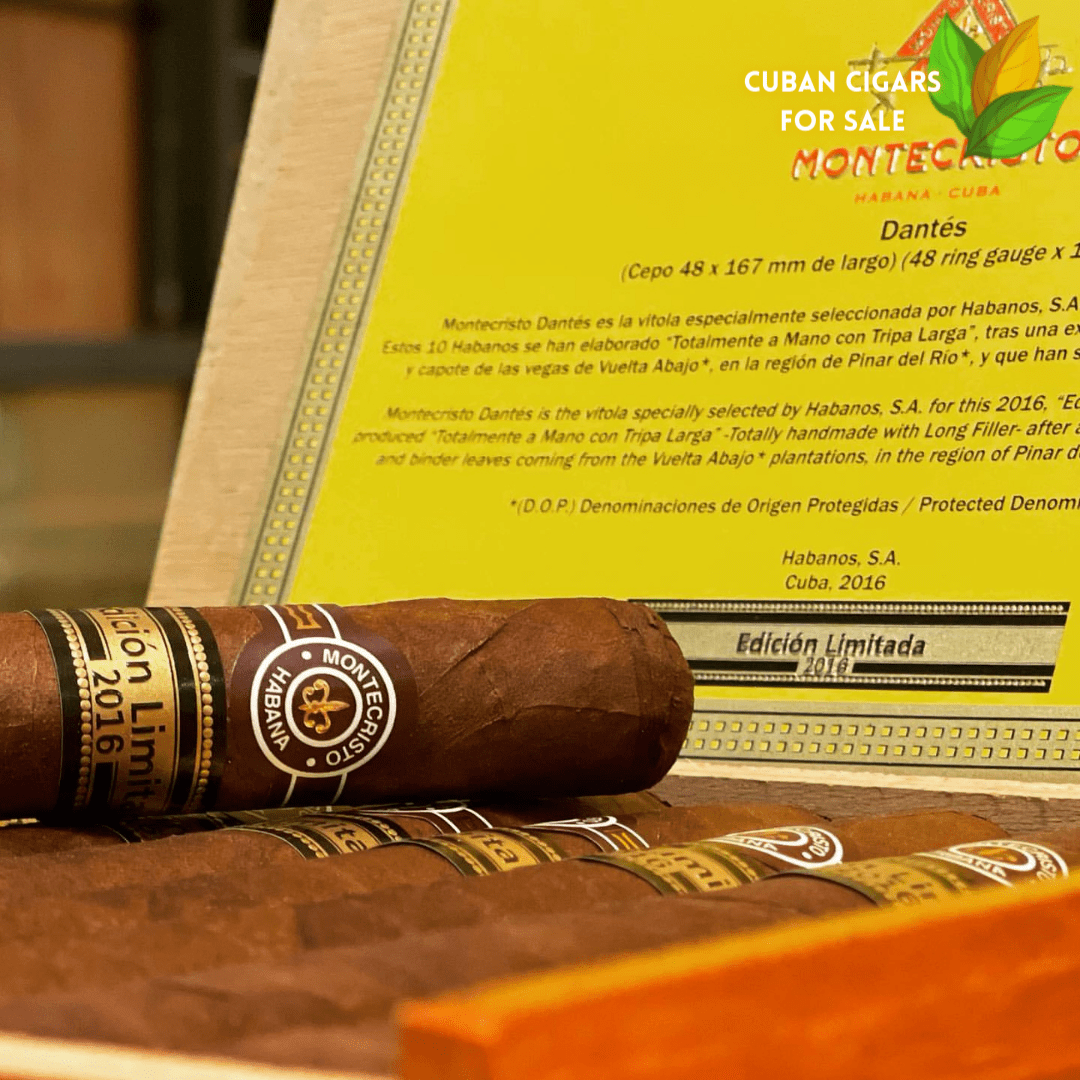 Partagas Salomon Cuban Cigar - Image 1