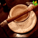 Partagas Salomones Cigar Close-up - Premium Quality