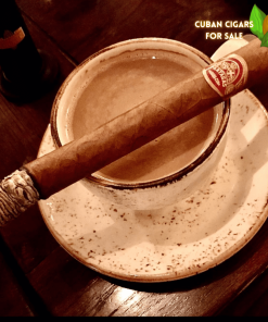 Partagas Salomones - partagas salomones