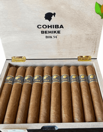 Cohiba Behike 54 - High Resolution