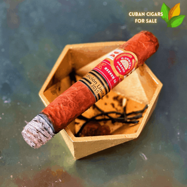 H Upmann Magnum 56 Cigar Close-up - Premium Quality