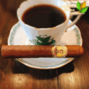 Bolivar Royal Corona Box View - Authentic Habanos