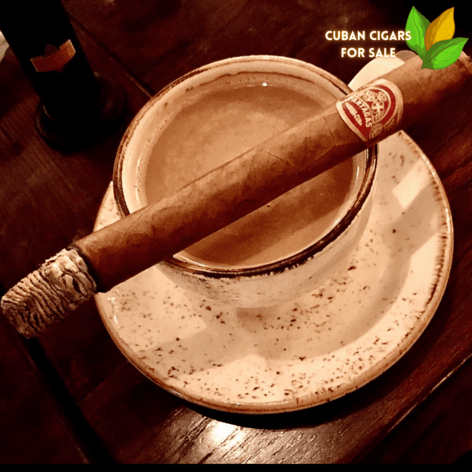 Partagas Salomon Cigar Close-up - Premium Quality