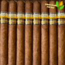 Cohiba 1966 Cabinet Cuban Cigars - Detail View