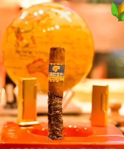 Cohiba Siglo VI - Cohiba Siglo VI