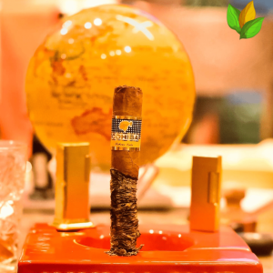 Cohiba Siglo VI - Cohiba Siglo VI