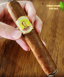 Bolivar Royal Corona - Bolivar Royal Corona