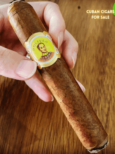 Bolivar Royal Corona Cuban Cigar - Image 1