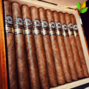 Montecristo Dantes Limited Edition 2016 Cigar Close-up - Premium Quality