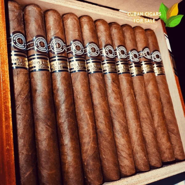 Montecristo Dantes Limited Edition 2016 Cigar Close-up - Premium Quality