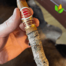 Montecristo Dantes Limited Edition 2016 Cuban Cigar - Image 1