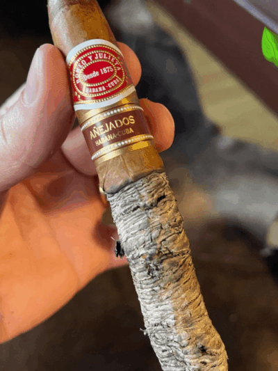 Montecristo Dantes Limited Edition 2016 Cuban Cigar - Image 1