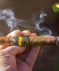 Cohiba Talisman