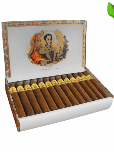 Bolivar Belicosos - High Resolution