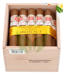 Hoyo de Monterrey Epicure No. 2