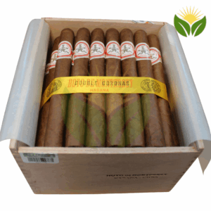 Hoyo de Monterrey Double Corona - High Resolution