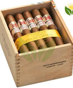 Hoyo de Monterrey Epicure Especial