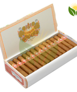 H Upmann Half Corona