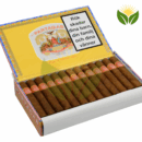 Partagas Shorts