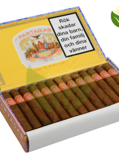 Partagas Shorts - High Resolution