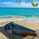 Montecristo Open Eagle Cuban Cigar - Image 1