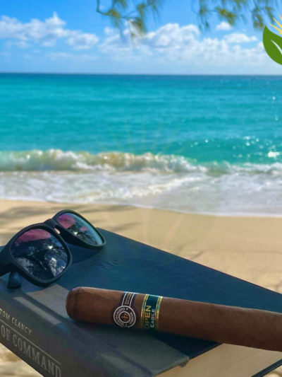 Montecristo Open Eagle Cuban Cigar - Image 1