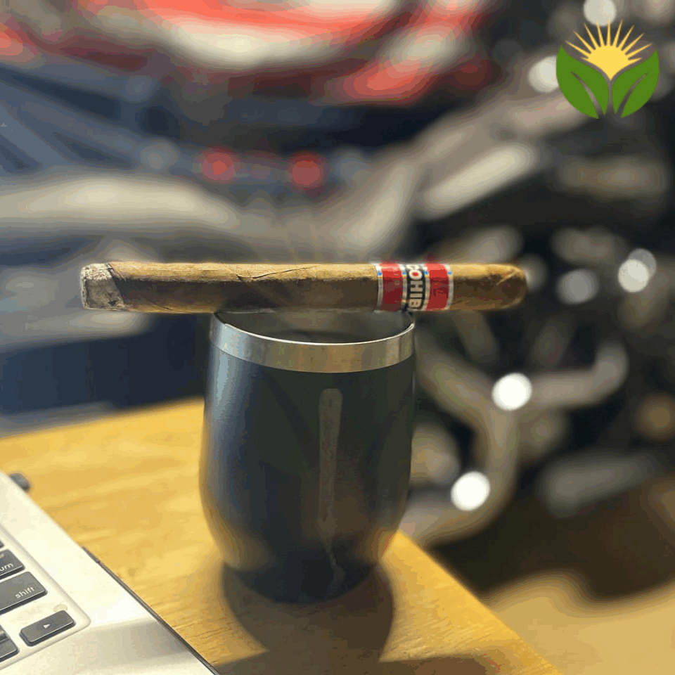 Cohiba Churchill Cigar Close-up - Premium Quality