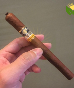 Cohiba Coronas Especiales