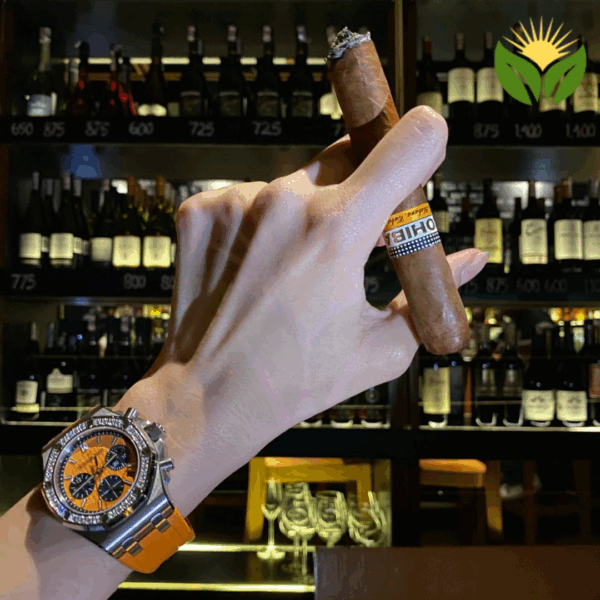 Cohiba Siglo IV Cigar Close-up - Premium Quality