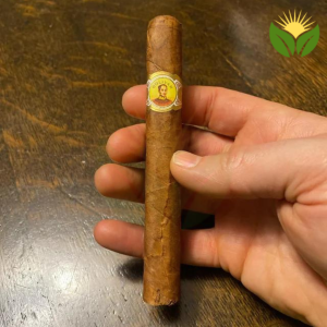 Bolivar Petit Coronas