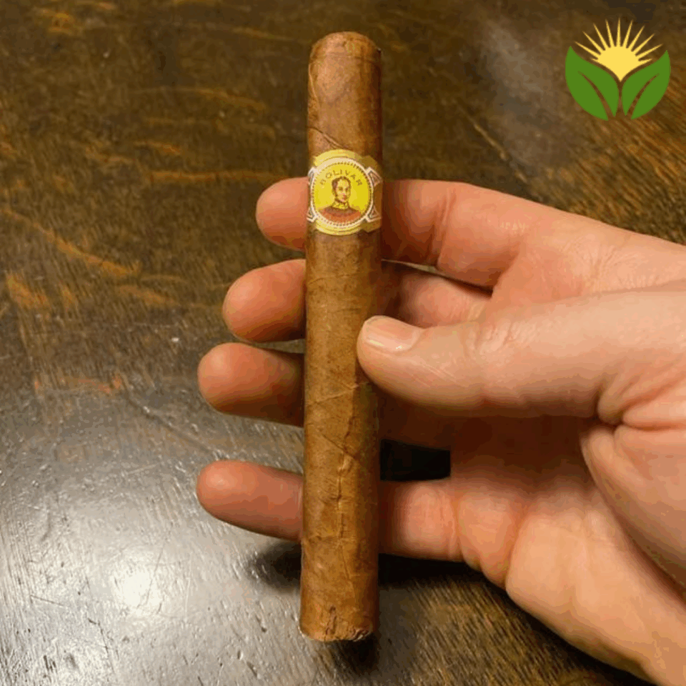 Bolivar Petit Coronas Cuban Cigar - Image 1