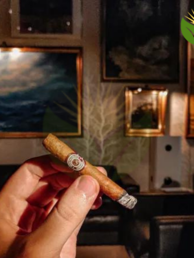 Montecristo Shorts Cuban Cigar - Image 1