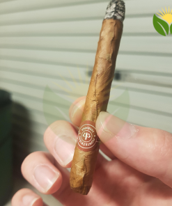 Montecristo Puritos