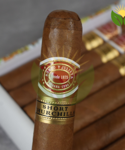 Romeo y Julieta Short Churchill