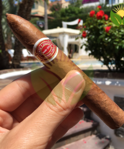 Romeo y Julieta Belicosos