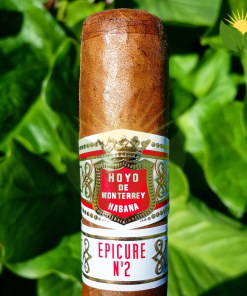 Hoyo de Monterrey Epicure No. 2