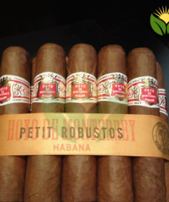 Hoyo de Monterrey Petit Robusto