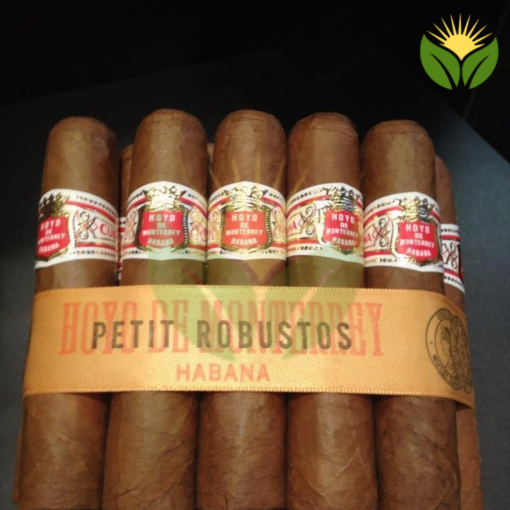 Hoyo de Monterrey Petit Robusto