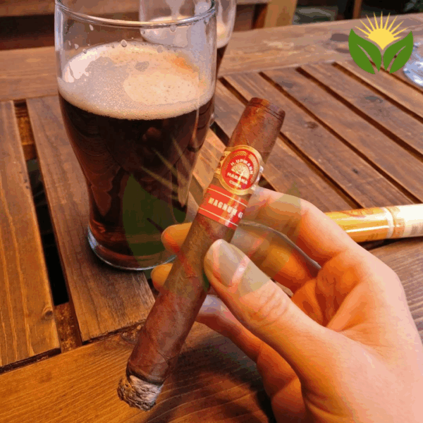 H Upmann Magnum 46 Cuban Cigar - Image 1