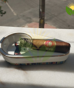 H Upmann Half Corona