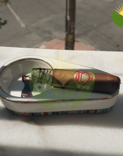 H Upmann Half Corona Cuban Cigar - Image 1